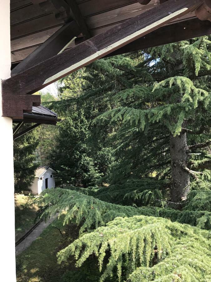 Villa Emilia Craveggia Zewnętrze zdjęcie